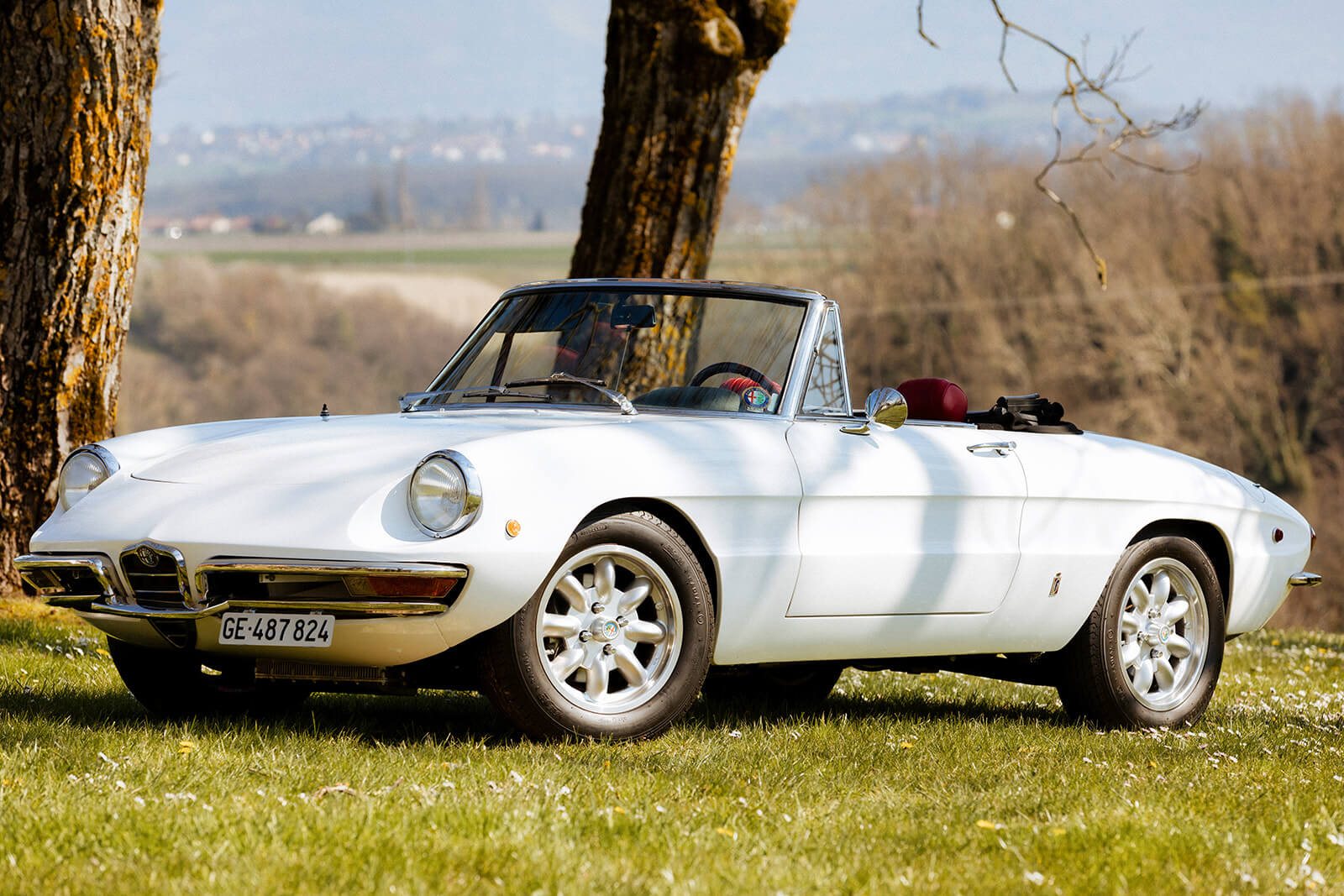 Alfa Romeo 1750 Spider Veloce 1969, voiture de collection à louer à Genève