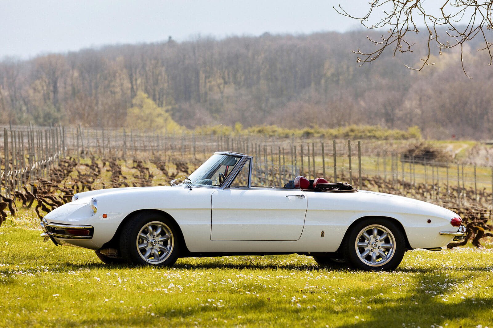 Alfa Romeo 1750 Spider Veloce 1969 — photo 2