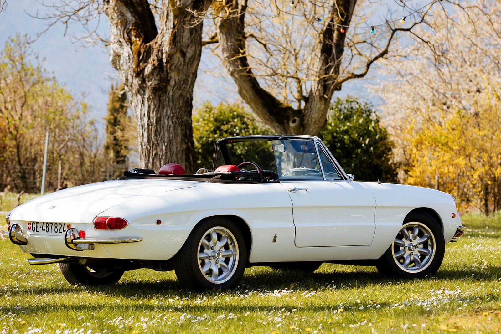Alfa Romeo 1750 Spider Veloce 1969 — photo 3