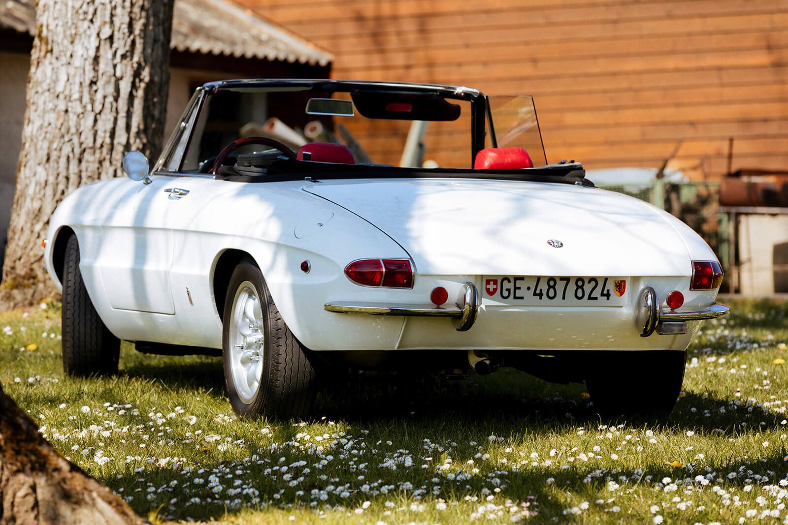 Alfa Romeo 1750 Spider Veloce 1969 — photo 6