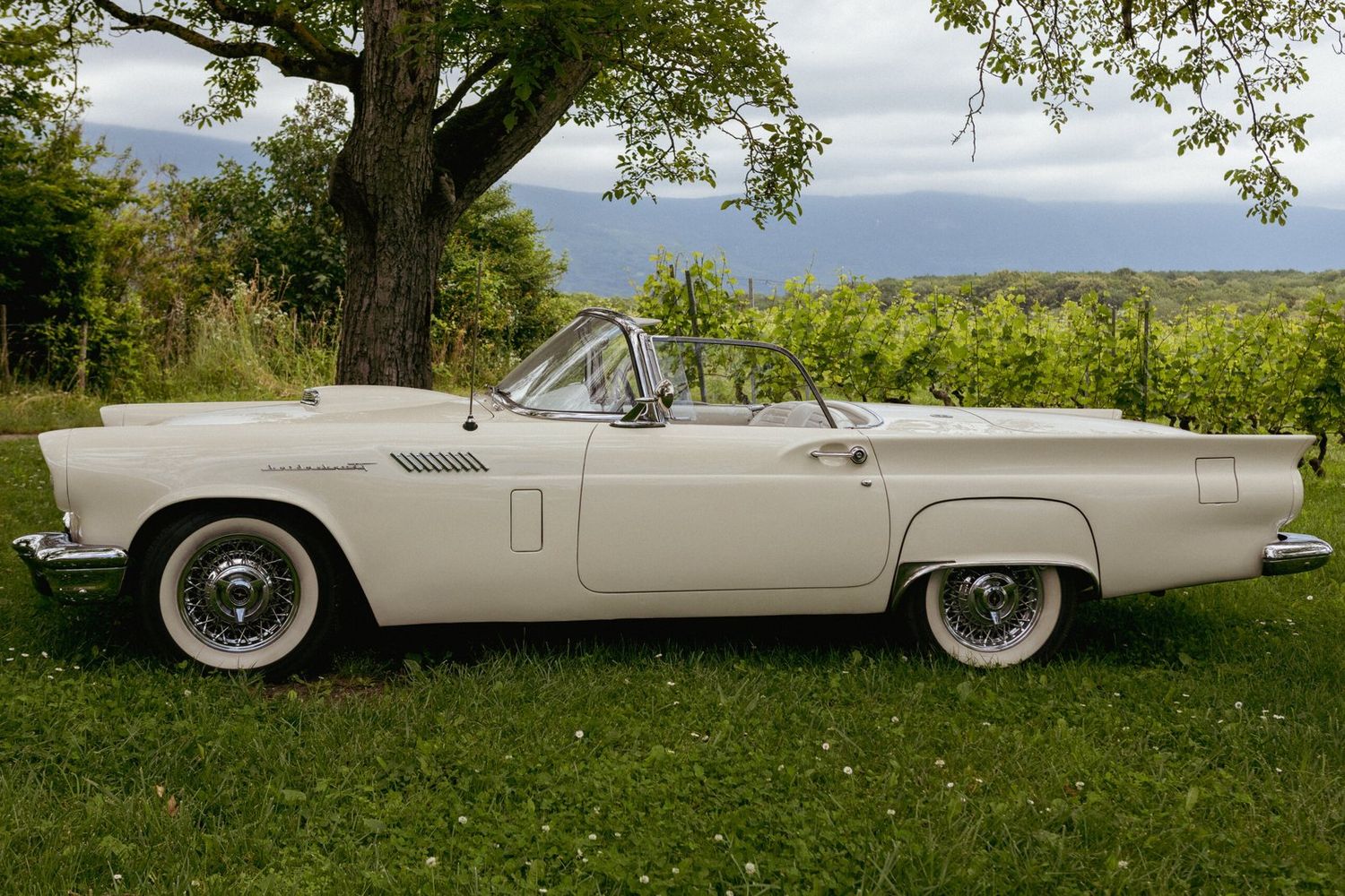 Ford Thunderbird 1957 — photo 2
